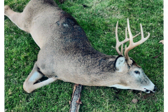 2022-Reg-Haughton-Massachusetts-Buck