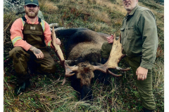2022-Reg-Haughton-Newfoundland-Moose