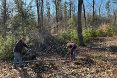 April, 2023 - Chestnut Tree Maintenance3